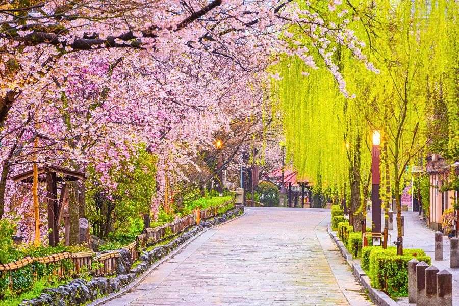 Japan in April spring scenery
