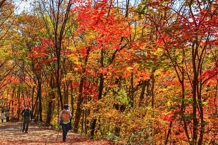 Jirisan autumn foliage