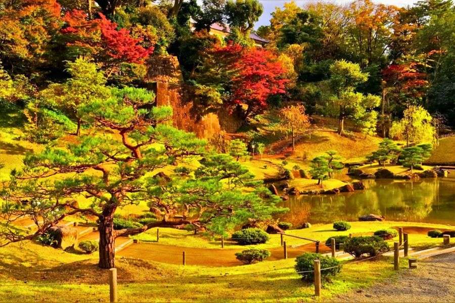 Kenrokuen Garden in autumn