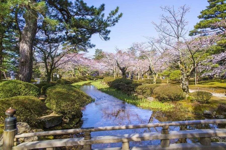 Kenrokuen Garden in spring