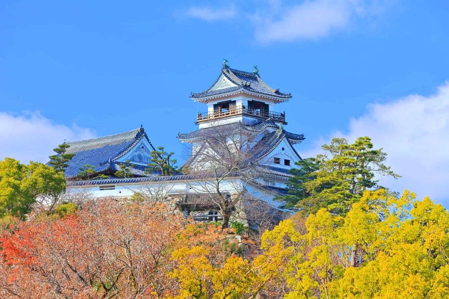 Kochi Castle in Japan