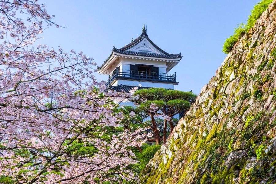 Kochi Castle in spring