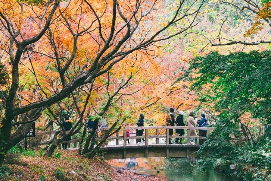 Kyushu in October