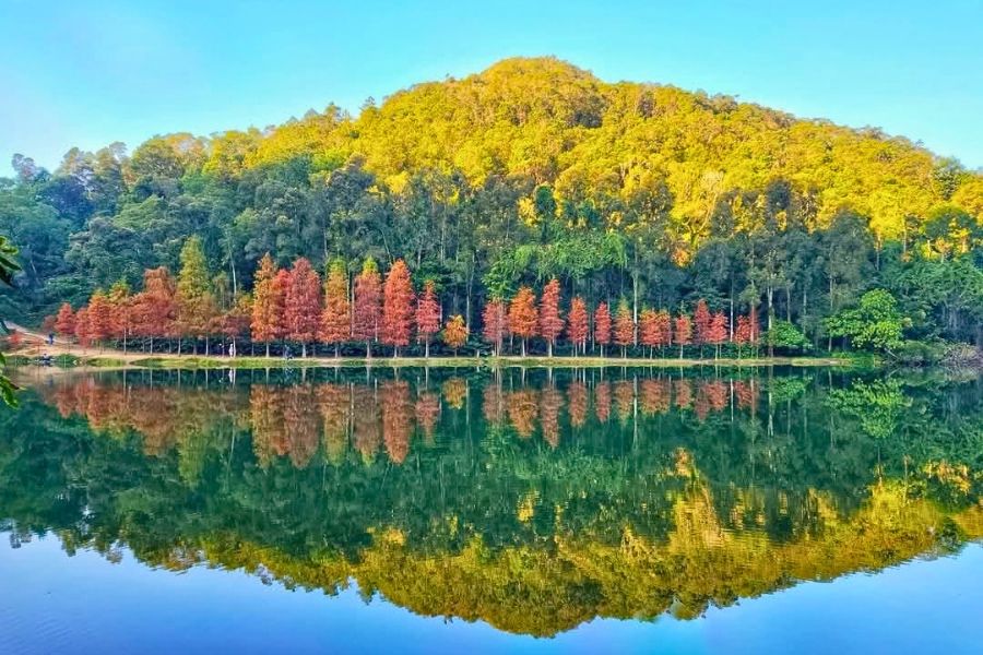 Lau Shui Heung autumn