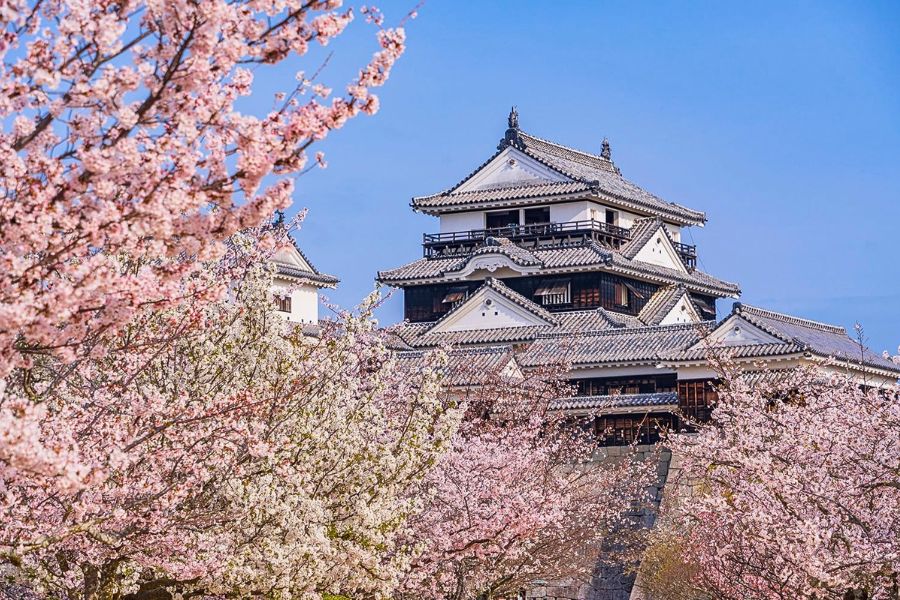 Matsuyama Castle seasonal view
