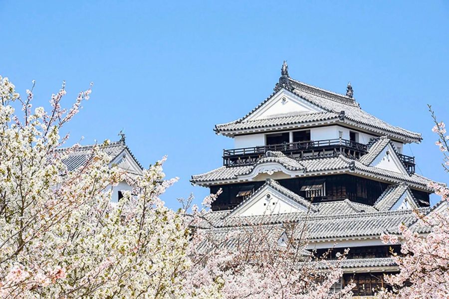 Matsuyama Castle spring