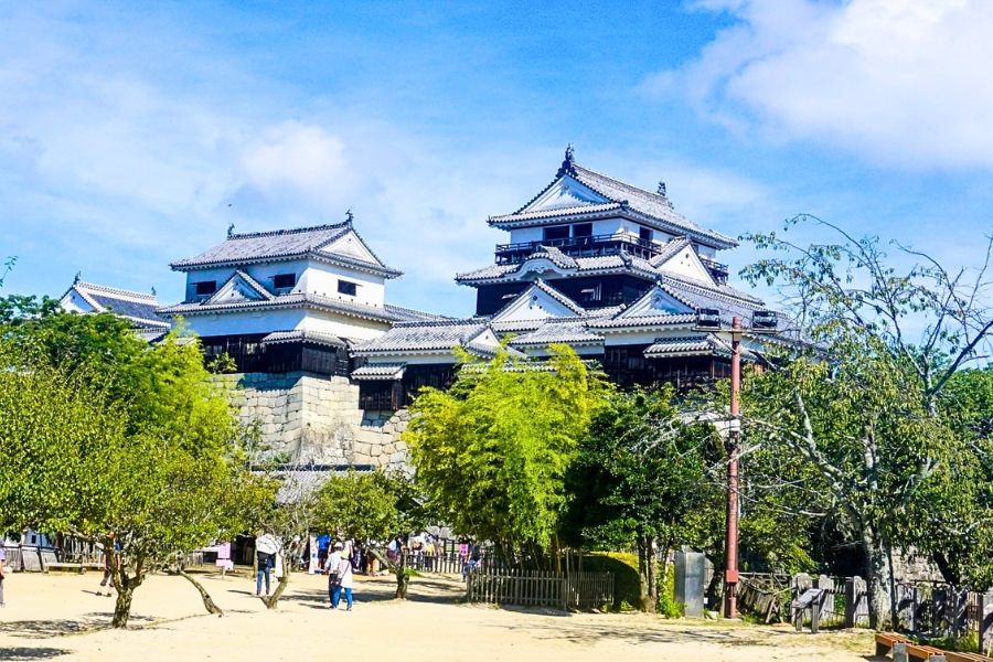 Matsuyama Castle summer