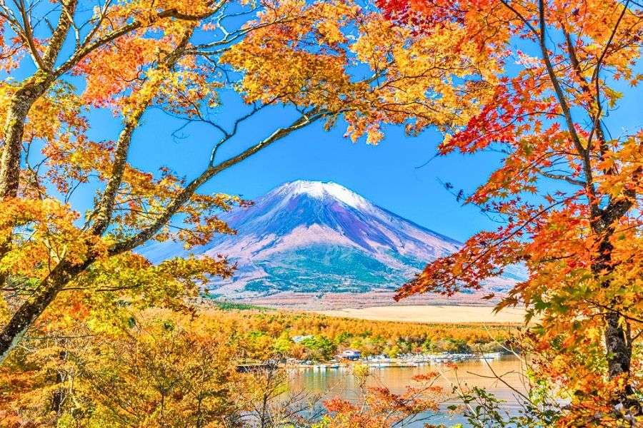 Mount Fuji autumn foliage
