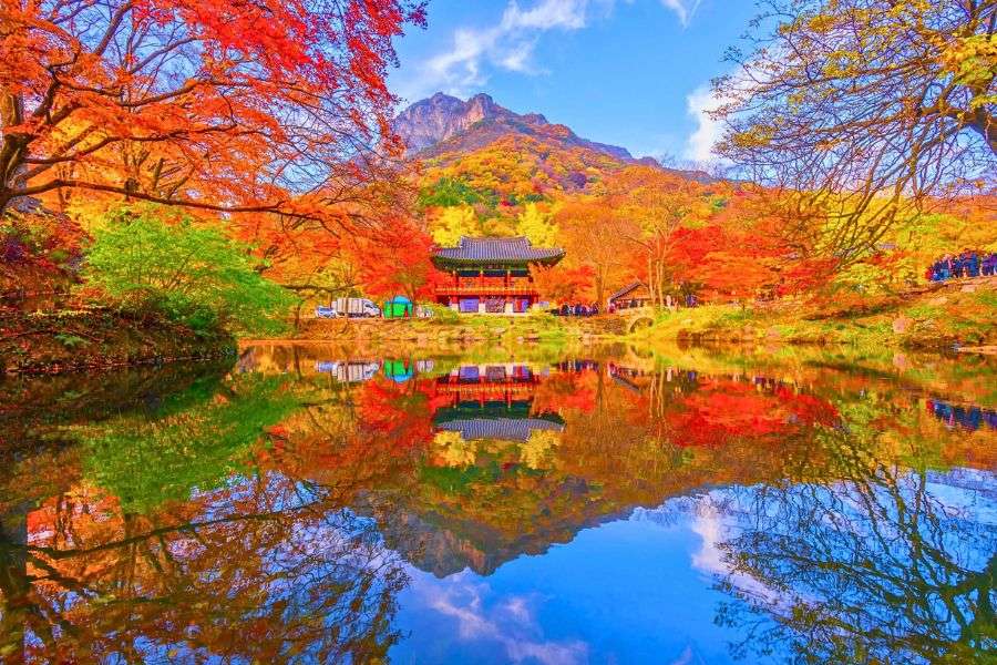 Naejangsan autumn foliage
