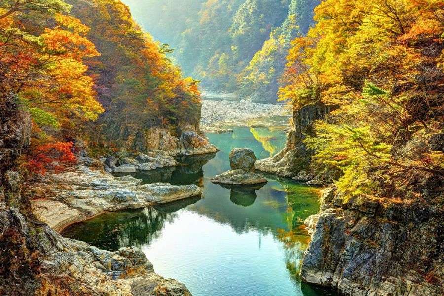 Nikko autumn foliage
