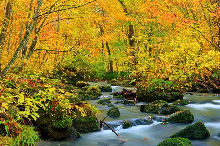 Oirase Stream Aomori