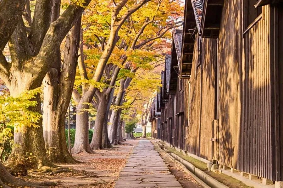 Sakata in autumn