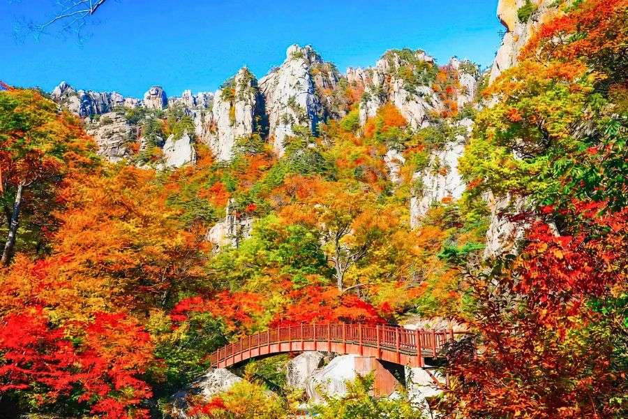 Seoraksan autumn foliage