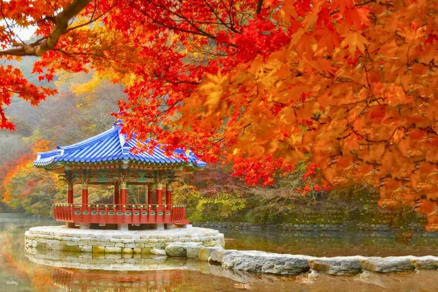 Seoul palace autumn foliage