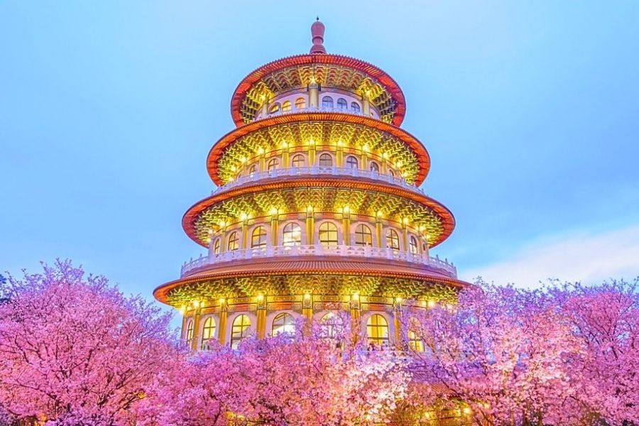 Tianyuan Temple cherry blossoms