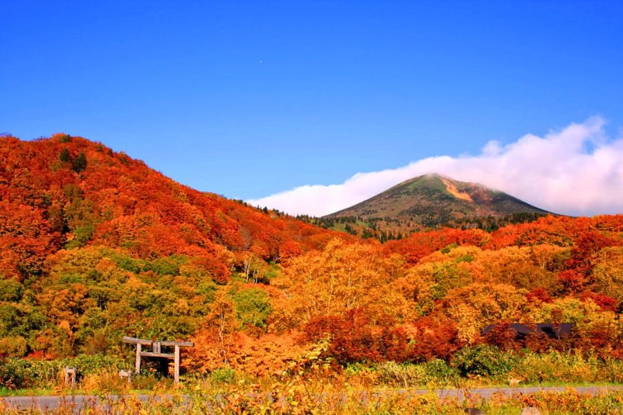Tohoku autumn foliage