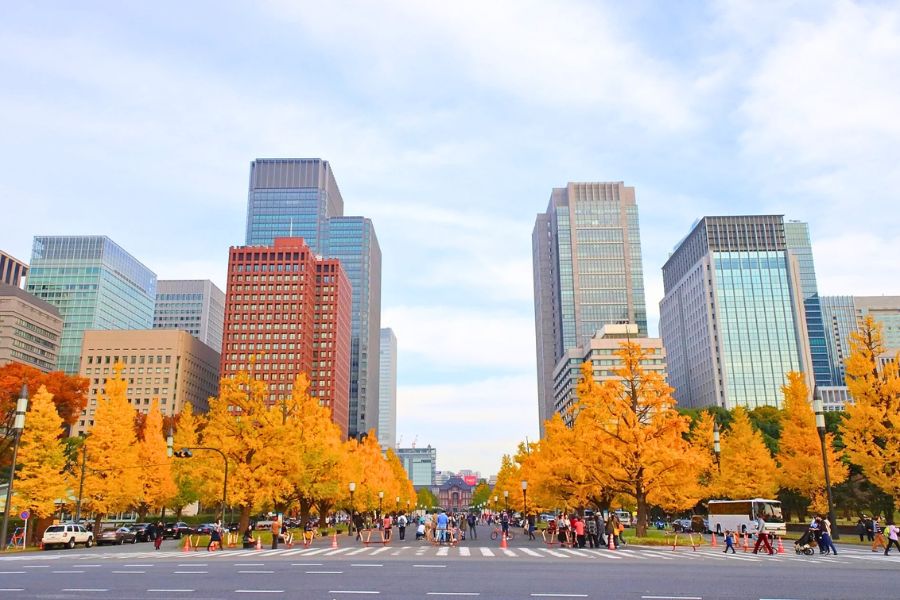 Tokyo in October