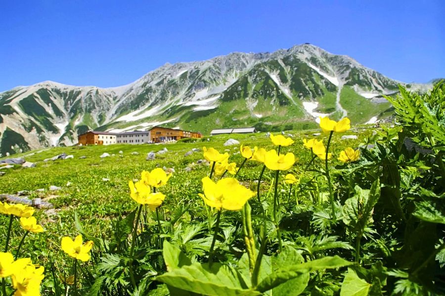 Toyama alpine summer