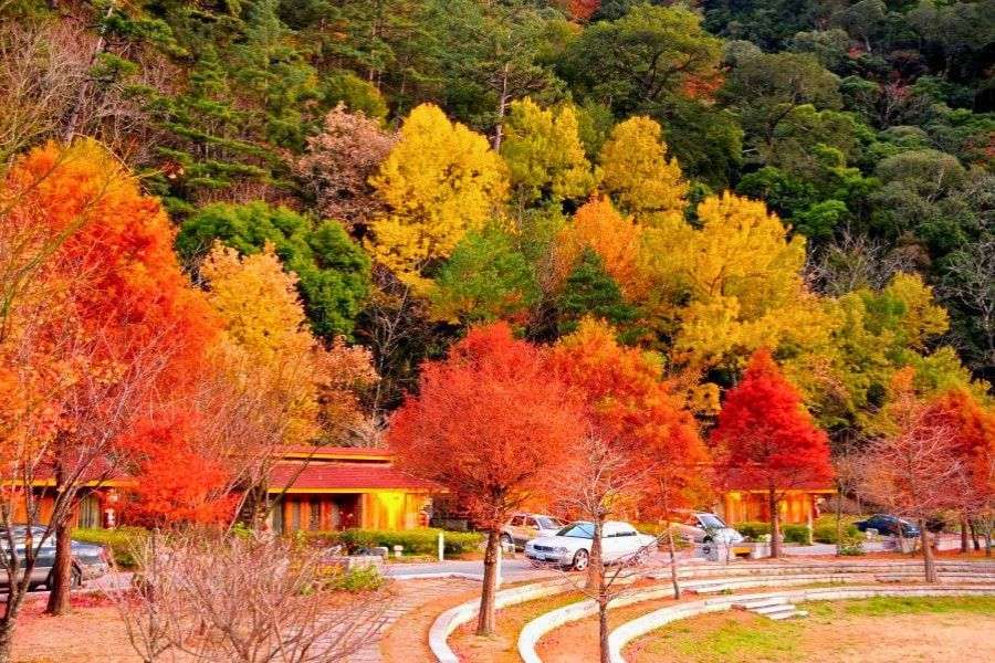 Wuling Farm autumn foliage