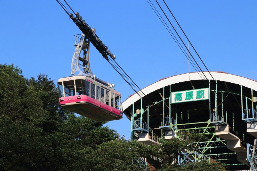 Beppu Ropeway and Mount Tsurumi