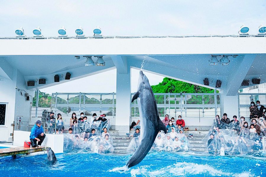 Kujukushima Aquarium Umikirara