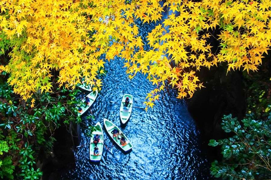 Miyazaki in autumn