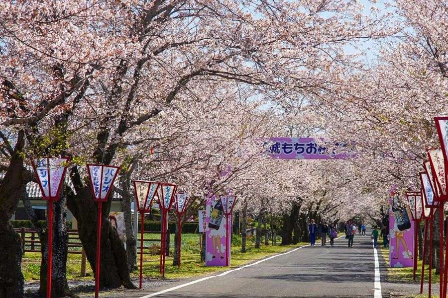 Miyazaki in spring