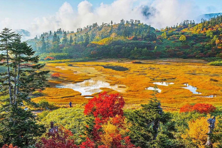 Niigata autumn foliage