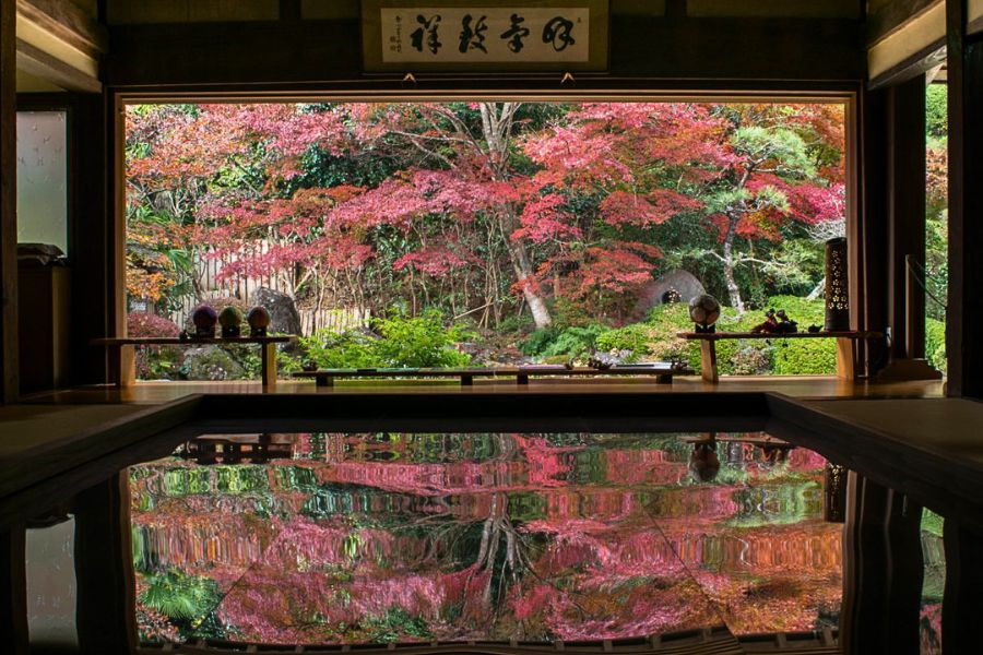 Sasebo in autumn