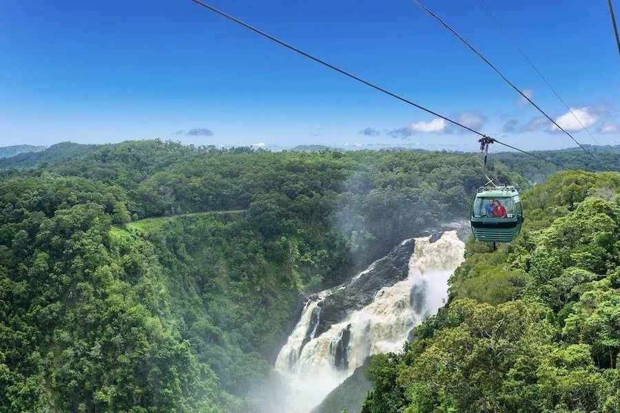 Skyrail Rainforest Cableway